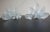 Pair of Murano Six-Tier Felci Wall Sconces - 10 Glasses For Sale In Los Angeles - Image 6 of 9