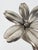 1970s Mid-Century Italian Chrome Flower Cocktail Ashtrays, 1960s, Set of 6 For Sale - Image 5 of 18