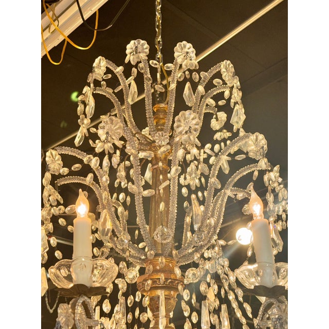 Traditional Large 19th C. Italian Giltwood and Crystal Chandelier For Sale - Image 3 of 8