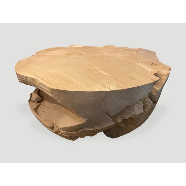 Andrianna Shamaris Impressive Bleached Teak Wood Coffee Table For Sale - Image 11 of 18