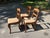 Mid-Century Modern Tell City Chairs - Set of Four For Sale - Image 3 of 8