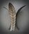 2000 - 2009 Art Deco Murano Silver Art Glass Wall Lights and Sconces, 2000 For Sale - Image 5 of 10