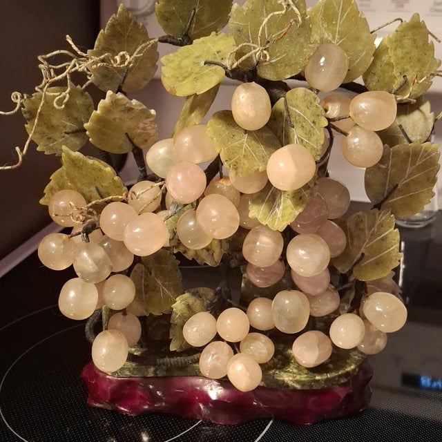 Grape Vines Bonsai Tree For Sale In Greenville, SC - Image 6 of 12