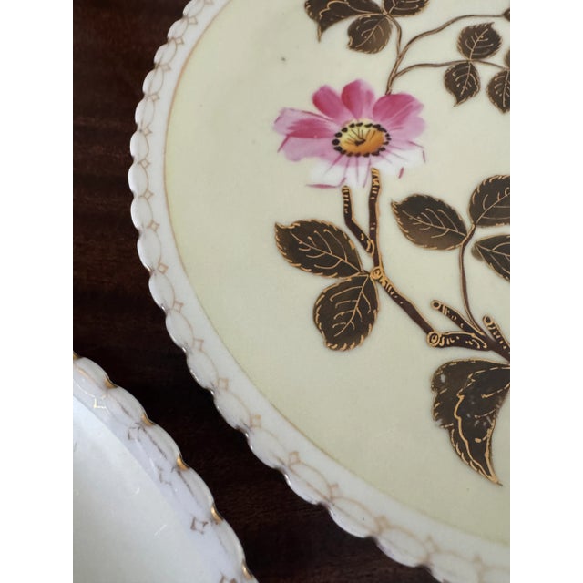 19th Century Pink Floral Cabinet Plates a Pair For Sale In Pittsburgh - Image 6 of 12
