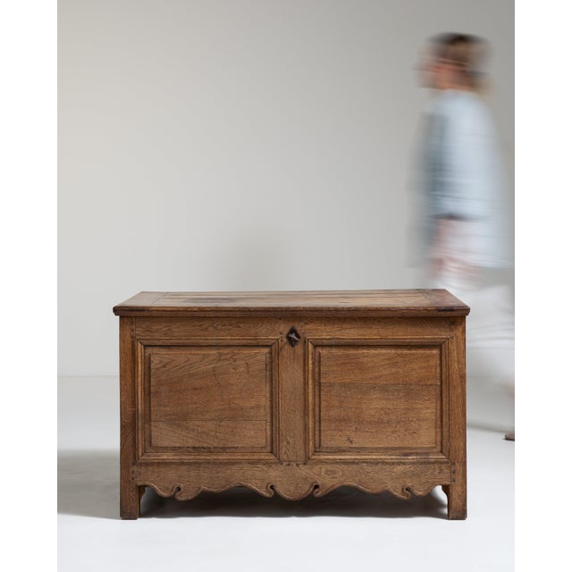 French Carved Oak Trunk France 19th Century For Sale - Image 11 of 12