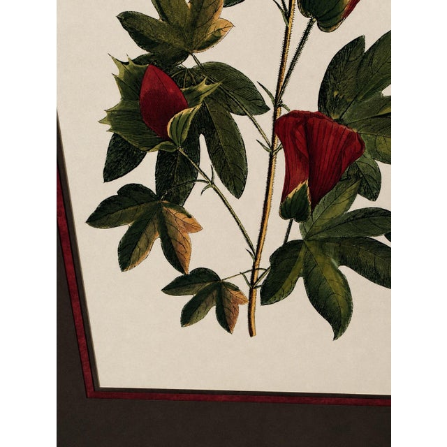 Vintage Framed "Jenna's Flowers Ii" Botanical Print by Decorative Arts, Inc. For Sale - Image 9 of 12