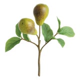 Pear Picks 9.5" St/4 For Sale