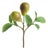 Pear Picks 9.5" St/4 For Sale
