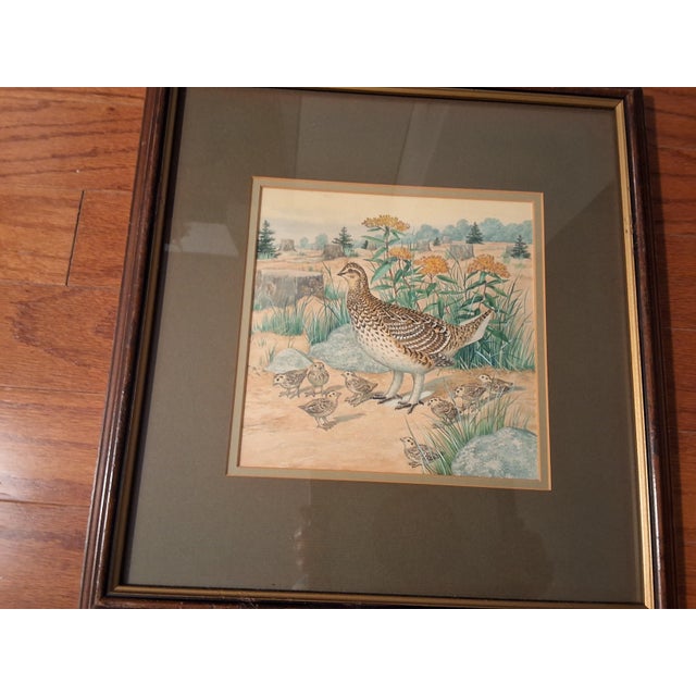 Traditional Mid 20th Century Louis A. Fuertes (School Of) - 3 Watercolor Paintings For Sale - Image 3 of 4