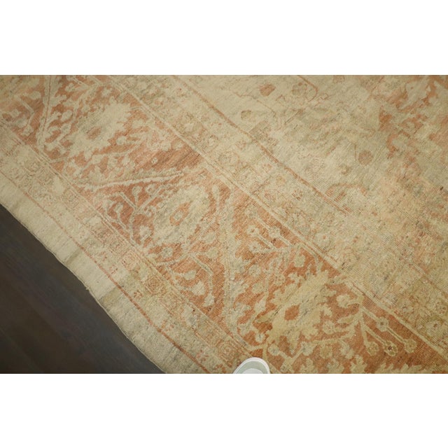 a late 19th century pale cream apricot color square Ziegler Sultanabad rug Details rug no. 10808 size 13' 5" x 14' 8" (409...