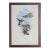 19th Century Bird Print - One of 24 For Sale