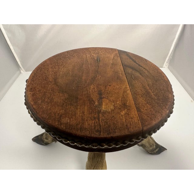 Antique Taxidermy Deer Hoof Mahogany Stool For Sale - Image 6 of 10
