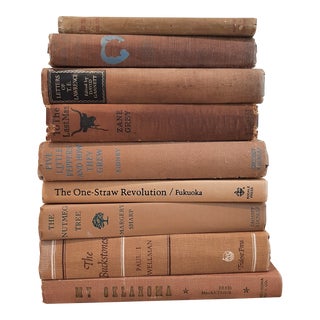 Vintage Hardbook Library Book Stack Color Collection Tan Brown Khaki Cameln For Sale