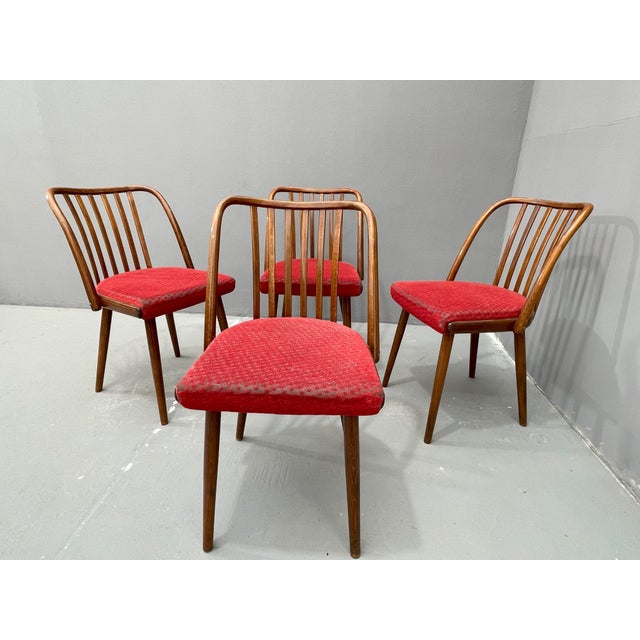Czechoslovakian Chairs by Antonín Šuman, 1960s, Set of 4 For Sale - Image 11 of 12