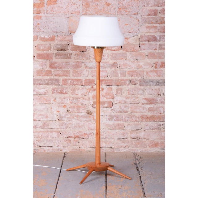 1960s Mid-Century Modern Floor Lamp in Beech from Úluv, 1960s For Sale - Image 5 of 9