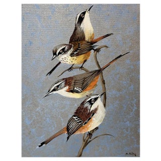 Magdalena Nalecz, Grey Antbird and Slaty Bristlefront, 2021, Acrylic on Canvas For Sale