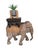 Vintage Hand-Carved Wooden Elephant Plant Stand, 1960s For Sale - Image 18 of 18