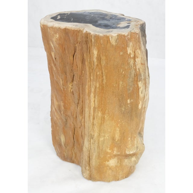 Mid-Century Modern Beige Black Petrified Wood Organic Stomp Shape Stand End Side Table Pedestal For Sale - Image 3 of 10