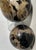 Two Polished Petrified Wood Organic Spheres. For Sale In West Palm - Image 6 of 10