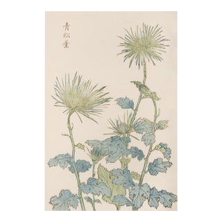 Two Wildflowers by Hasegawa, Vintage Japanese Botanical Art Print, 12" X 18" For Sale