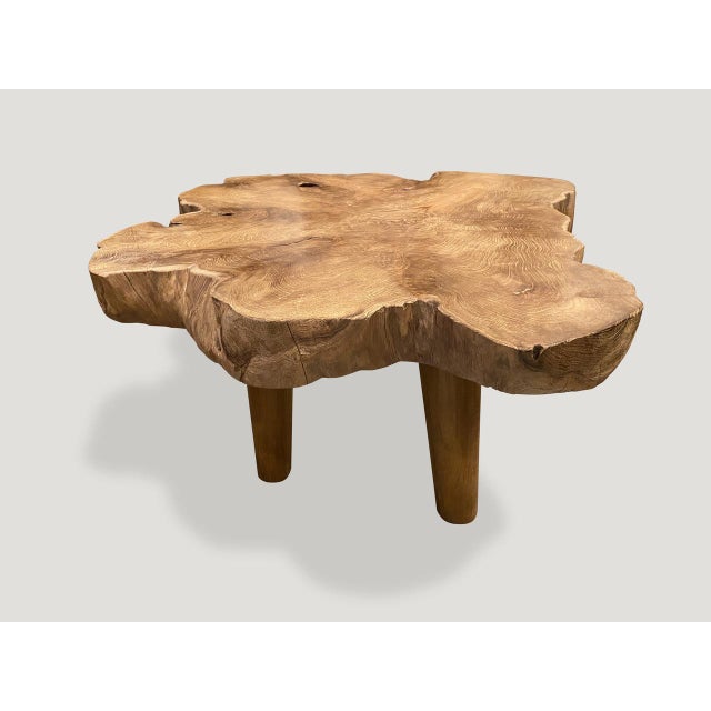 Andrianna Shamaris Mid-Century Style Single Slab Coffee Table For Sale - Image 4 of 18