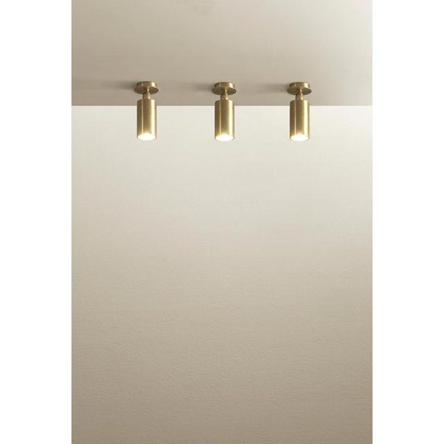 TF500 Ceiling Lamp in Satin Brass with an Adjustable Tubular Diffuser by Daluce For Sale - Image 4 of 6