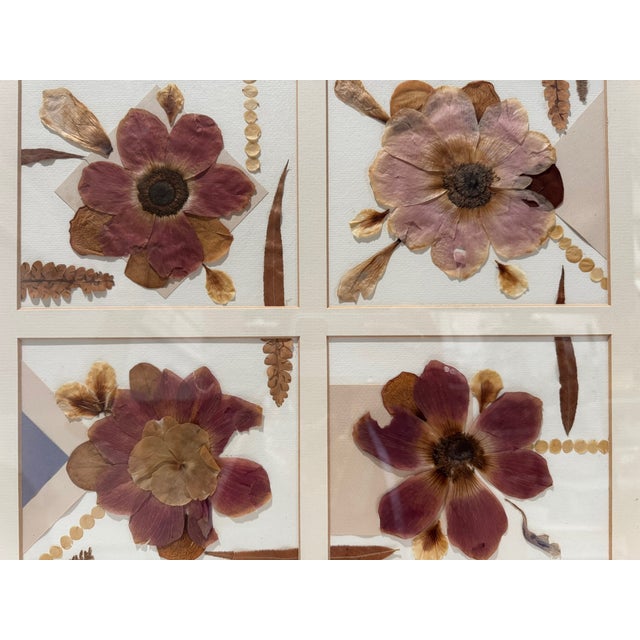 Traditional Ellen Schiffman 1995 Preserved Botanical Collage Original Framed For Sale - Image 3 of 9