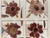 Traditional Ellen Schiffman 1995 Preserved Botanical Collage Original Framed For Sale - Image 3 of 9