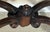 Mid 19th Century Mid 19th Century American Rococo Revival Burl Walnut and Marquetry "Turtle-Top" Center Table For Sale - Image 5 of 12