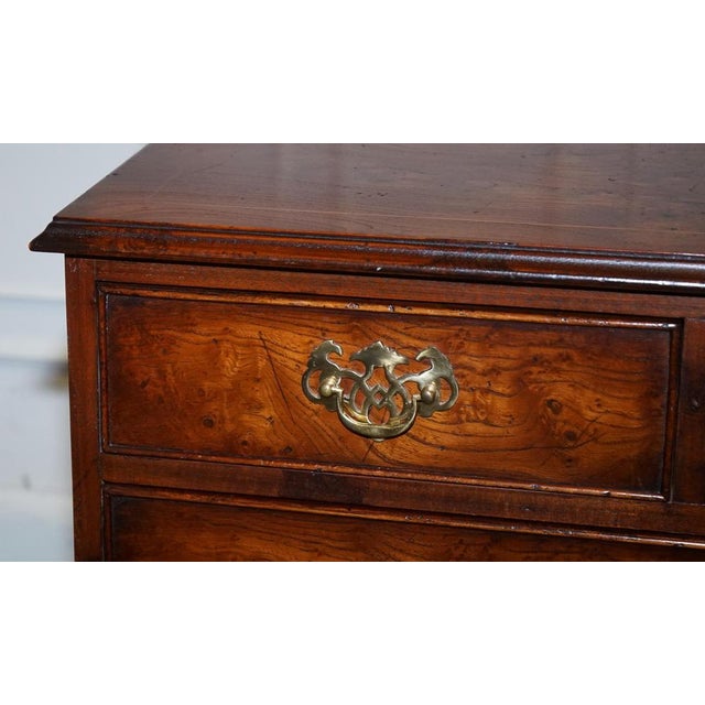 Gold Georgian Style Chest of Drawers in Elm For Sale - Image 8 of 16