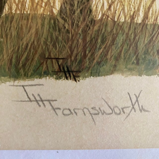 Original Imogene H. Farnsworth Lithograph "Young Zebra" Signed & Numbered For Sale - Image 12 of 15