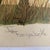 Original Imogene H. Farnsworth Lithograph "Young Zebra" Signed & Numbered For Sale - Image 12 of 15