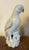 Antique 18th Century Chinese Blanc De Chine White Porcelain Parrot For Sale - Image 12 of 18