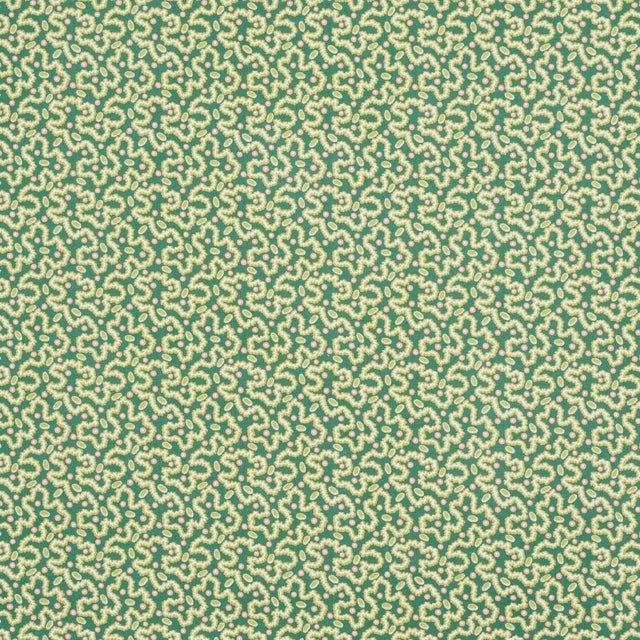 SAMPLE - Schumacher Leonie Vermicelli Fabric In Leaf For Sale