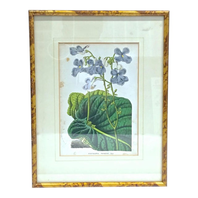 Antique Framed Floral & Leaf Botanical Engraving For Sale