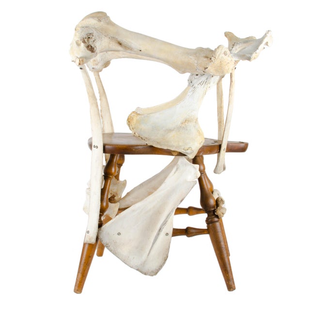 Sculptural Bone Chair Chairish