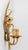 Hollywood Regency Gilt Wheat Sheaf Wall Sconces, Italy, 1990s, Set of 2 For Sale - Image 4 of 12