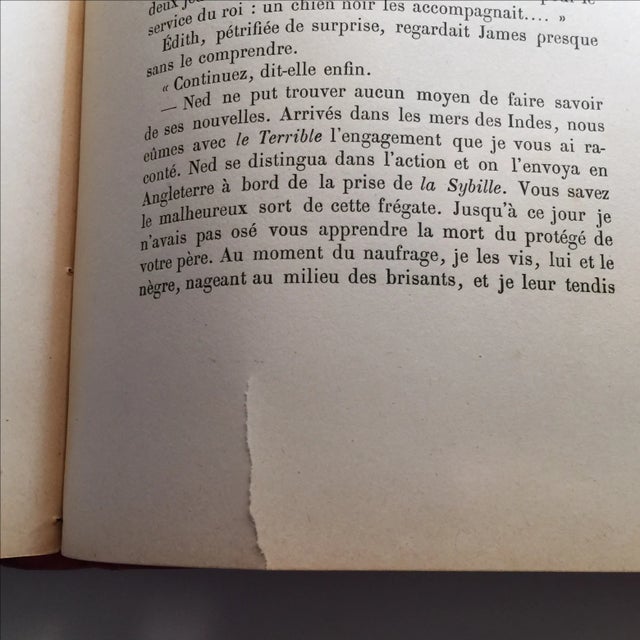 Red 1891 "l'Enfant Du Naufrage" by Sir Samuel W. Baker For Sale - Image 8 of 8