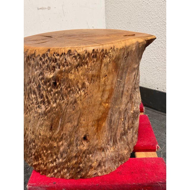 Organic Modern Live Edge Tree Side Table/ Stool For Sale In San Francisco - Image 6 of 12