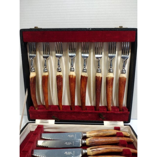 Early 20th Century Taylor Witness Sheffield 16pc Stainless Steak Knife Fork Set, Stag Wood With Case For Sale - Image 5 of 12