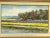 Dutch Painting of the flower fields by Hans de Jong An oil painting on panel framed with a scene of the flower fields in...
