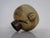 Studio Ceramic Vase by Peter Müller for Sgrafo Modern, 1970s For Sale - Image 6 of 18