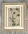 Framed Botanical Drawing With Gold Detailing For Sale - Image 4 of 14