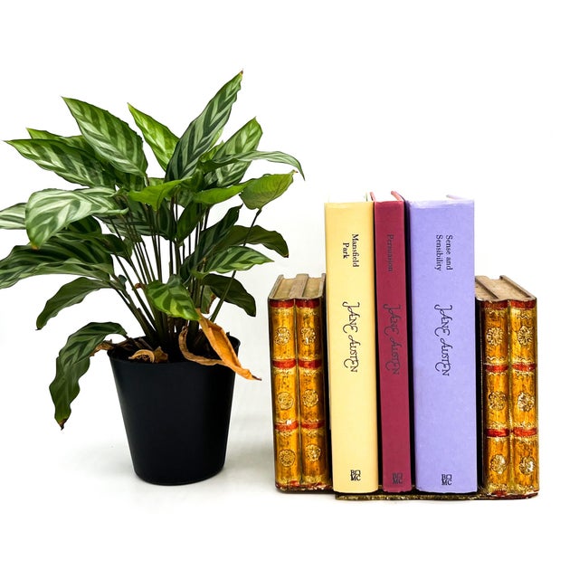 Charming vintage pair of Italian Florentine giltwood bookends featuring a classic faux book spine design with hand-painted...