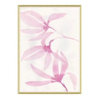 Tulip Magnolia Framed Art Print by Susan Hable For Sale