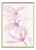 Tulip Magnolia Framed Art Print by Susan Hable For Sale