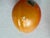 Yellow Vintage Stone Fruit- 11 Pieces For Sale - Image 8 of 9