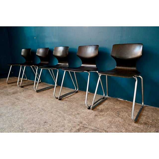 Mid-Century Modern Scandinavian Chairs in Pagwood from Flötotto, 1960s, Set of 5 For Sale - Image 3 of 12