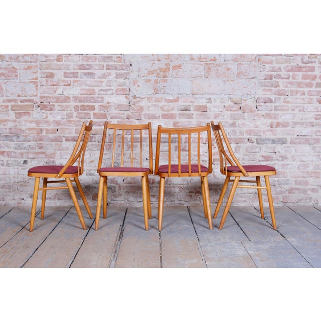 Mid-Century Modern Chairs by Antonín Šuman, 1960s, Set of 4 For Sale - Image 4 of 11
