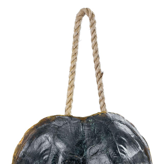 A natural turtle shell made of resin and based on an antique, with rope to hang, provides a coastal cool accessory for...
